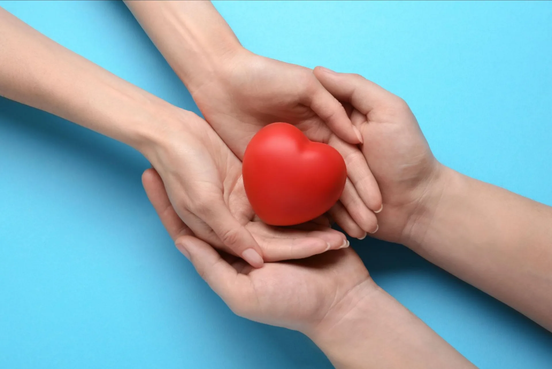 A heart symbol held in caring hands